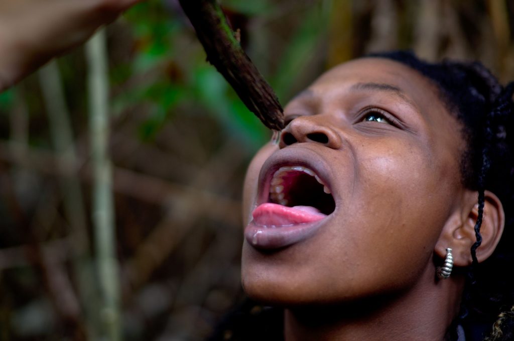 Livingston und das gute Leben – Unsere Reise