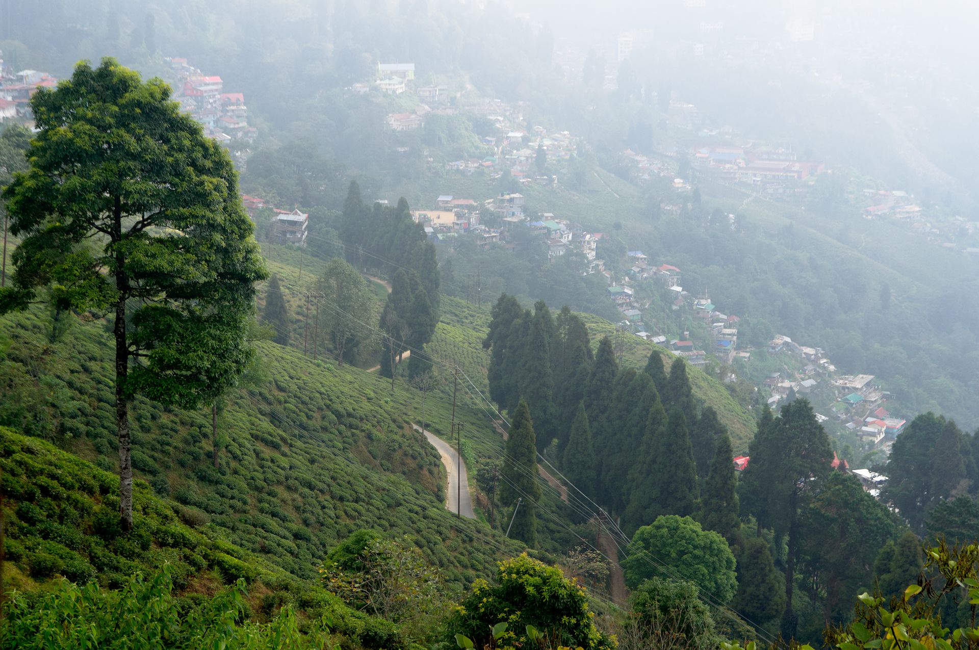 Darjeeling: von Tee und Bergen